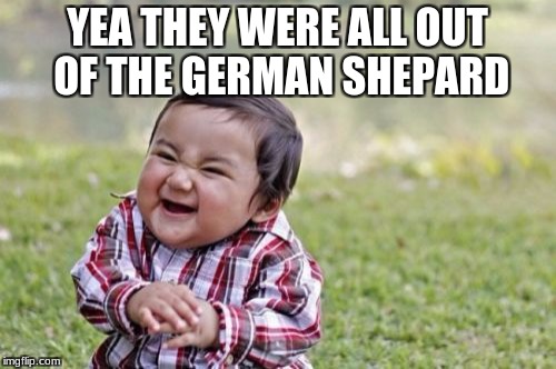 Evil Toddler Meme | YEA THEY WERE ALL OUT OF THE GERMAN SHEPARD | image tagged in memes,evil toddler | made w/ Imgflip meme maker