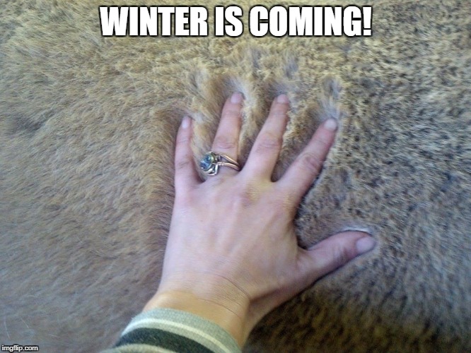  WINTER IS COMING! | made w/ Imgflip meme maker