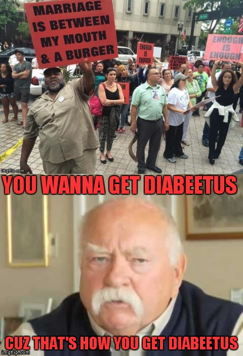 Go eat some oatmeal, quaker oatmeal... | YOU WANNA GET DIABEETUS; CUZ THAT'S HOW YOU GET DIABEETUS | image tagged in protesters,hamburger,diabeetus,wilford brimley | made w/ Imgflip meme maker