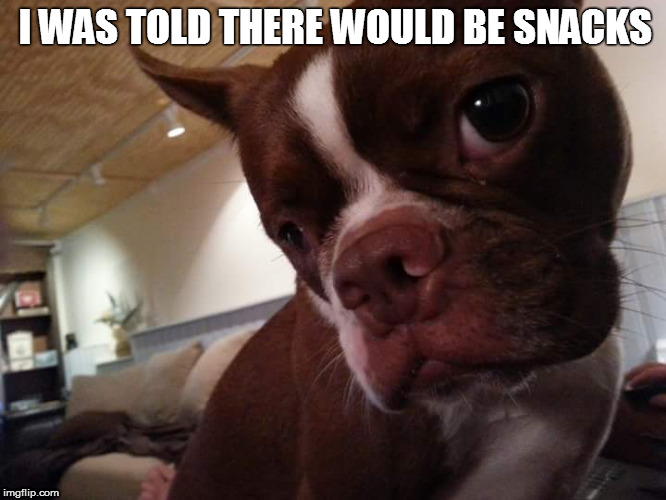 I WAS TOLD THERE WOULD BE SNACKS | made w/ Imgflip meme maker