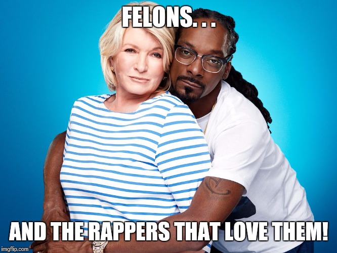 FELONS. . . AND THE RAPPERS THAT LOVE THEM! | image tagged in thug love | made w/ Imgflip meme maker