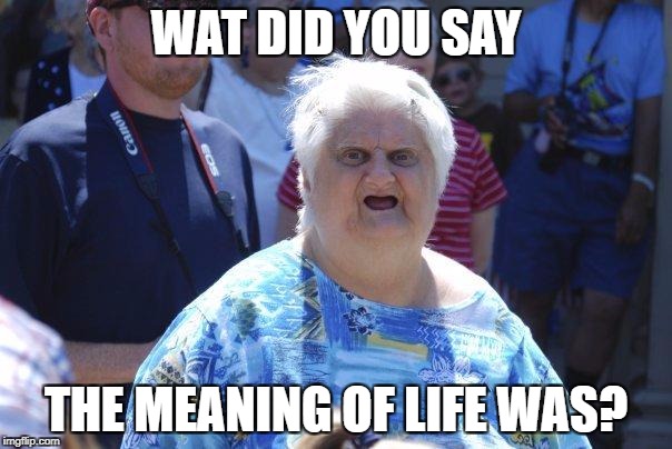 Wat Lady | WAT DID YOU SAY; THE MEANING OF LIFE WAS? | image tagged in wat lady | made w/ Imgflip meme maker