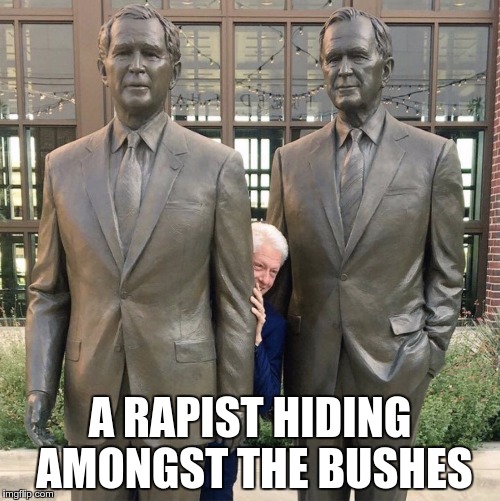 A RAPIST HIDING AMONGST THE BUSHES | image tagged in rapist hiding among the bushes | made w/ Imgflip meme maker