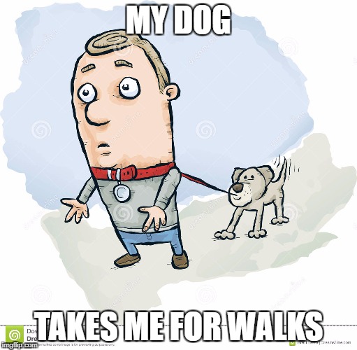 MY DOG TAKES ME FOR WALKS | made w/ Imgflip meme maker