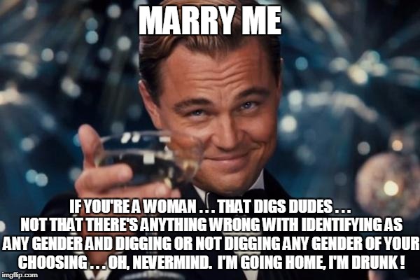 Leonardo Dicaprio Cheers Meme | MARRY ME IF YOU'RE A WOMAN . . . THAT DIGS DUDES . . . NOT THAT THERE'S ANYTHING WRONG WITH IDENTIFYING AS ANY GENDER AND DIGGING OR NOT DIG | image tagged in memes,leonardo dicaprio cheers | made w/ Imgflip meme maker