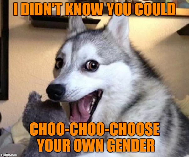 I DIDN'T KNOW YOU COULD CHOO-CHOO-CHOOSE YOUR OWN GENDER | made w/ Imgflip meme maker