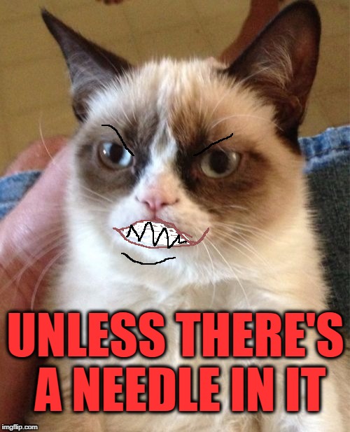 Grumpy Cat Meme | UNLESS THERE'S A NEEDLE IN IT | image tagged in memes,grumpy cat | made w/ Imgflip meme maker