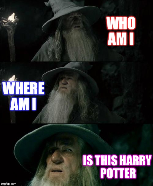 Confused Gandalf Meme | WHO AM I; WHERE AM I; IS THIS HARRY POTTER | image tagged in memes,confused gandalf | made w/ Imgflip meme maker