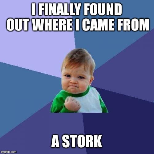 Success Kid | I FINALLY FOUND OUT WHERE I CAME FROM; A STORK | image tagged in memes,success kid | made w/ Imgflip meme maker