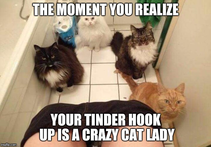 "I have four cats but they don't smell"*  true story | THE MOMENT YOU REALIZE; YOUR TINDER HOOK UP IS A CRAZY CAT LADY | image tagged in tinder,blind date,crazy cat lady | made w/ Imgflip meme maker
