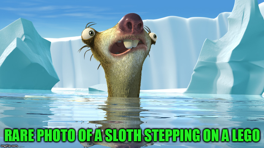 Ice Age Week! A Jesus_Milk Event! Oct 23-30th | RARE PHOTO OF A SLOTH STEPPING ON A LEGO | image tagged in ice age week,jesus_milk | made w/ Imgflip meme maker