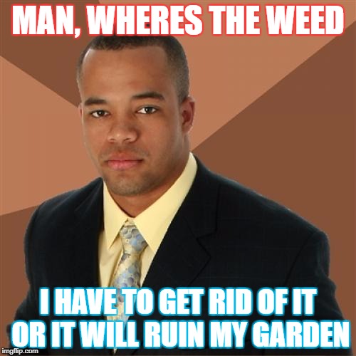 Successful Black Man Meme | MAN, WHERES THE WEED; I HAVE TO GET RID OF IT OR IT WILL RUIN MY GARDEN | image tagged in memes,successful black man | made w/ Imgflip meme maker