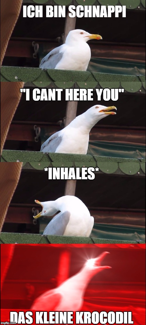 Inhaling Seagull Meme | ICH BIN SCHNAPPI; "I CANT HERE YOU"; *INHALES*; DAS KLEINE KROCODIL | image tagged in inhaling seagull | made w/ Imgflip meme maker