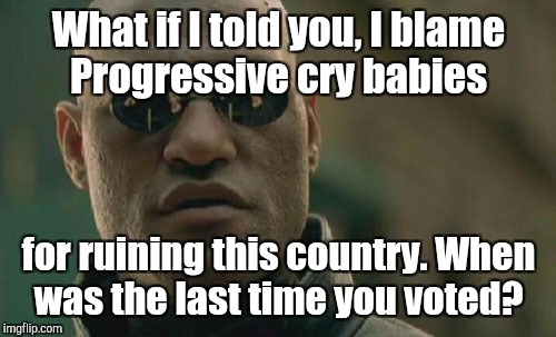 Matrix Morpheus Meme | What if I told you, I blame Progressive cry babies for ruining this country. When was the last time you voted? | image tagged in memes,matrix morpheus | made w/ Imgflip meme maker