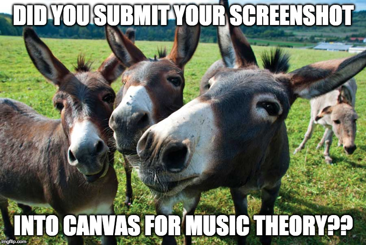 DID YOU SUBMIT YOUR SCREENSHOT; INTO CANVAS FOR MUSIC THEORY?? | image tagged in screenshot | made w/ Imgflip meme maker