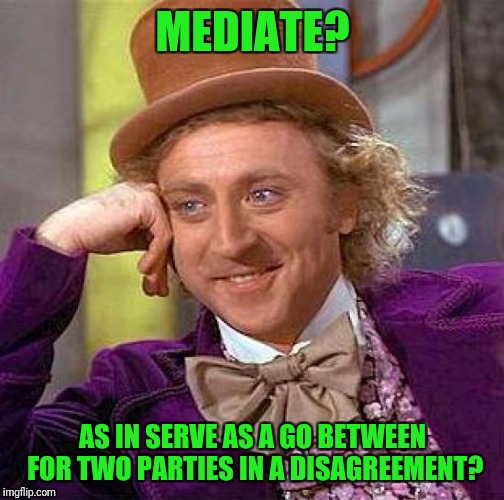 Creepy Condescending Wonka Meme | MEDIATE? AS IN SERVE AS A GO BETWEEN FOR TWO PARTIES IN A DISAGREEMENT? | image tagged in memes,creepy condescending wonka | made w/ Imgflip meme maker