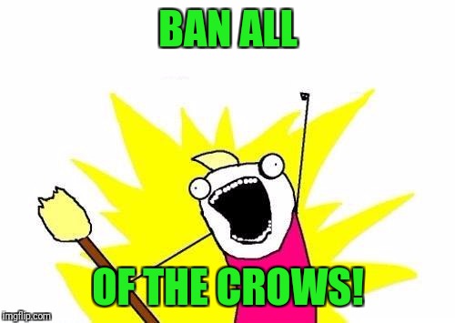 X All The Y Meme | BAN ALL OF THE CROWS! | image tagged in memes,x all the y | made w/ Imgflip meme maker