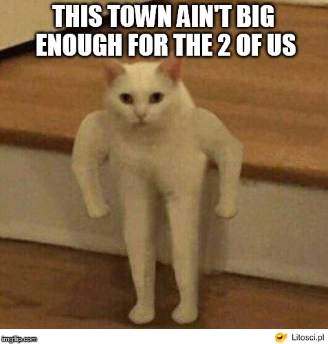 Buff Half Cat | THIS TOWN AIN'T BIG ENOUGH FOR THE 2 OF US | image tagged in buff half cat | made w/ Imgflip meme maker