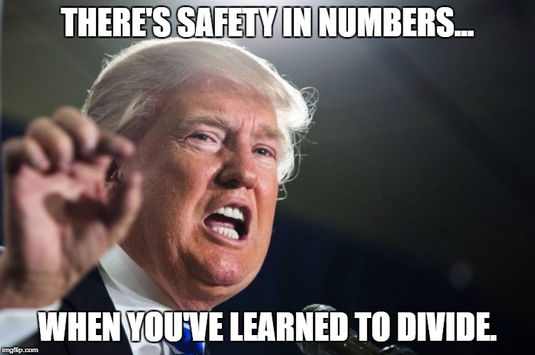 donald trump | THERE'S SAFETY IN NUMBERS... WHEN YOU'VE LEARNED TO DIVIDE. | image tagged in donald trump | made w/ Imgflip meme maker