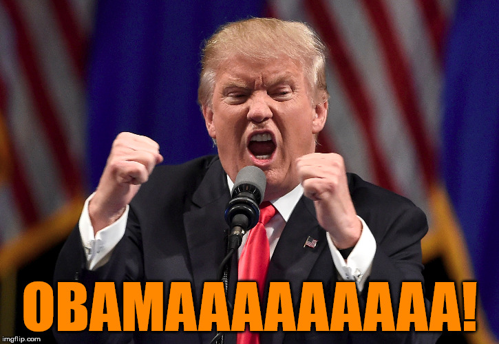 What's on your mind Donald? | OBAMAAAAAAAAA! | image tagged in donald trump,yelling,obama,blame obama,memes | made w/ Imgflip meme maker