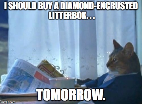I Should Buy A Boat Cat Meme | I SHOULD BUY A DIAMOND-ENCRUSTED LITTERBOX. . . TOMORROW. | image tagged in memes,i should buy a boat cat | made w/ Imgflip meme maker