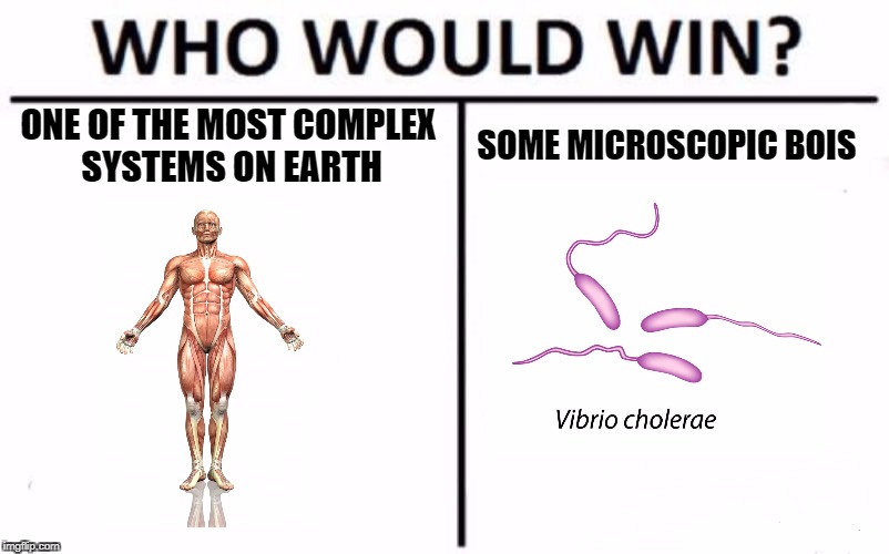 Who Would Win? Meme | ONE OF THE MOST COMPLEX SYSTEMS ON EARTH; SOME MICROSCOPIC BOIS | image tagged in who would win | made w/ Imgflip meme maker