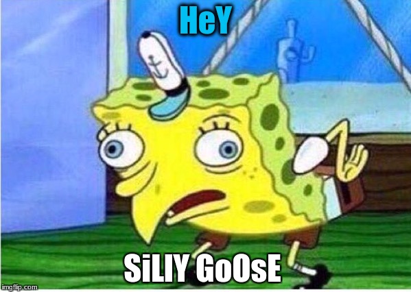 Mocking Spongebob | HeY; SiLlY GoOsE | image tagged in spongebob chicken | made w/ Imgflip meme maker