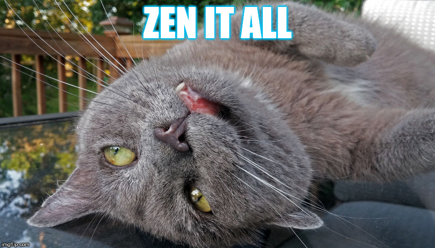 Faded Cat | ZEN IT ALL | image tagged in faded cat | made w/ Imgflip meme maker