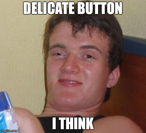 10 Guy Meme | DELICATE BUTTON I THINK | image tagged in memes,10 guy | made w/ Imgflip meme maker