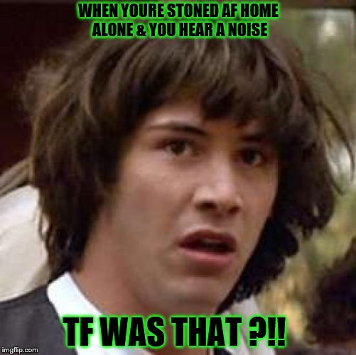 Conspiracy Keanu Meme | WHEN YOURE STONED AF HOME ALONE & YOU HEAR A NOISE; TF WAS THAT ?!! | image tagged in memes,conspiracy keanu | made w/ Imgflip meme maker