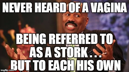 Steve Harvey Meme | NEVER HEARD OF A VA**NA BEING REFERRED TO AS A STORK . . . BUT TO EACH HIS OWN | image tagged in memes,steve harvey | made w/ Imgflip meme maker
