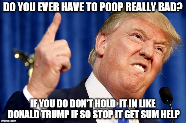 Donald Trump | DO YOU EVER HAVE TO POOP REALLY BAD? IF YOU DO DON'T HOLD  IT IN LIKE DONALD TRUMP IF SO STOP IT GET SUM HELP | image tagged in donald trump | made w/ Imgflip meme maker