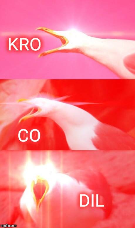 KRO DIL CO | made w/ Imgflip meme maker
