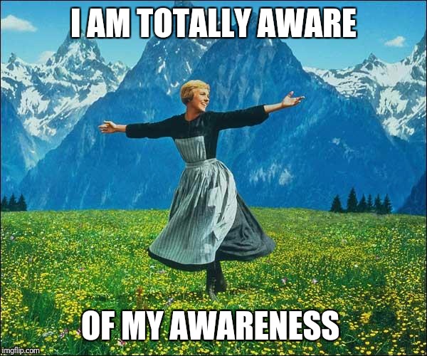 Julie Andrews | I AM TOTALLY AWARE; OF MY AWARENESS | image tagged in julie andrews | made w/ Imgflip meme maker