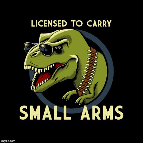 No Worries I'm Licensed | image tagged in memes,funny,trex,guns,small | made w/ Imgflip meme maker