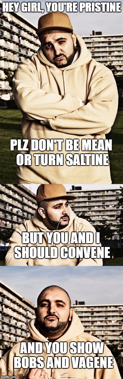 HEY GIRL, YOU'RE PRISTINE; PLZ DON'T BE MEAN OR TURN SALTINE; BUT YOU AND I SHOULD CONVENE; AND YOU SHOW BOBS AND VAGENE | image tagged in bobs,vagene | made w/ Imgflip meme maker