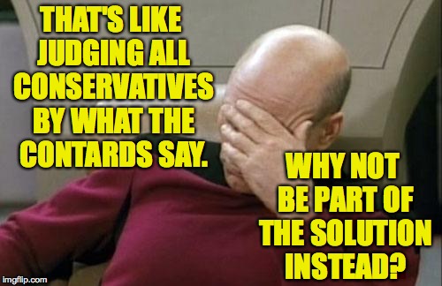 Captain Picard Facepalm Meme | THAT'S LIKE JUDGING ALL CONSERVATIVES BY WHAT THE CONTARDS SAY. WHY NOT BE PART OF THE SOLUTION INSTEAD? | image tagged in memes,captain picard facepalm | made w/ Imgflip meme maker