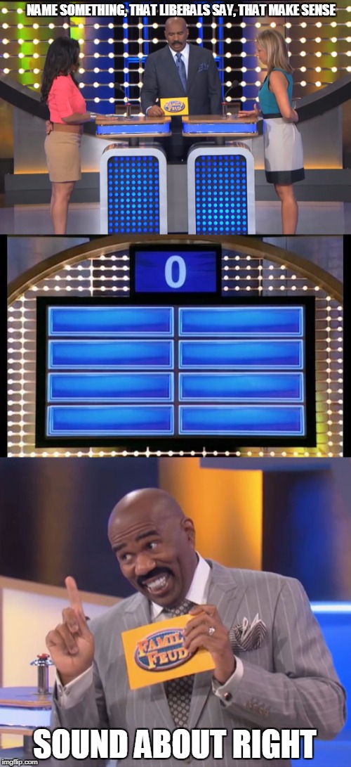 Liberals on family feud | NAME SOMETHING, THAT LIBERALS SAY, THAT MAKE SENSE; SOUND ABOUT RIGHT | image tagged in steve harvey,memes | made w/ Imgflip meme maker