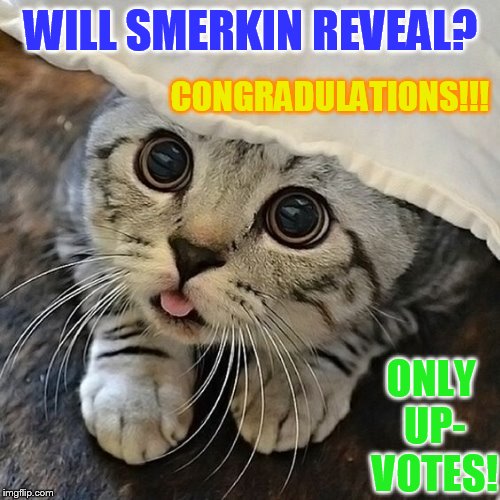 WILL SMERKIN REVEAL? ONLY UP- VOTES! CONGRADULATIONS!!! | made w/ Imgflip meme maker