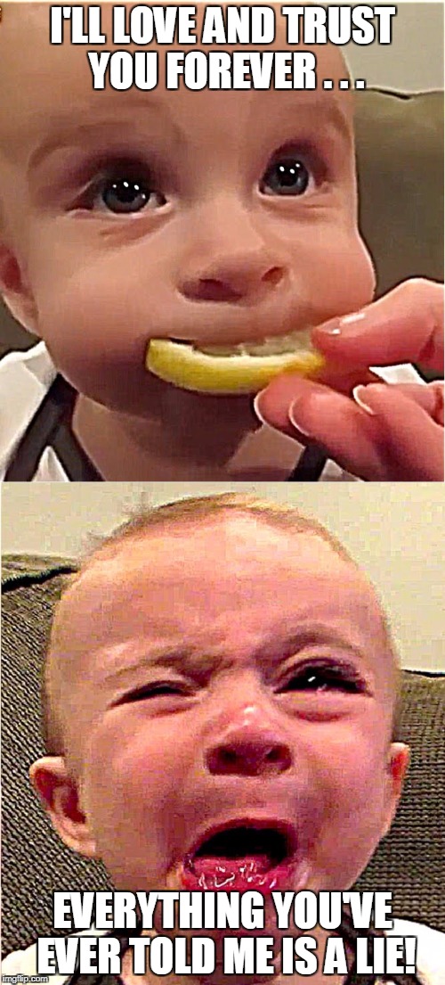 Innocence lost... | I'LL LOVE AND TRUST YOU FOREVER . . . EVERYTHING YOU'VE EVER TOLD ME IS A LIE! | image tagged in funny,funny meme,baby meme,sour,when life gives you lemons,trust issues | made w/ Imgflip meme maker