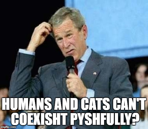 HUMANS AND CATS CAN'T COEXISHT PYSHFULLY? | made w/ Imgflip meme maker