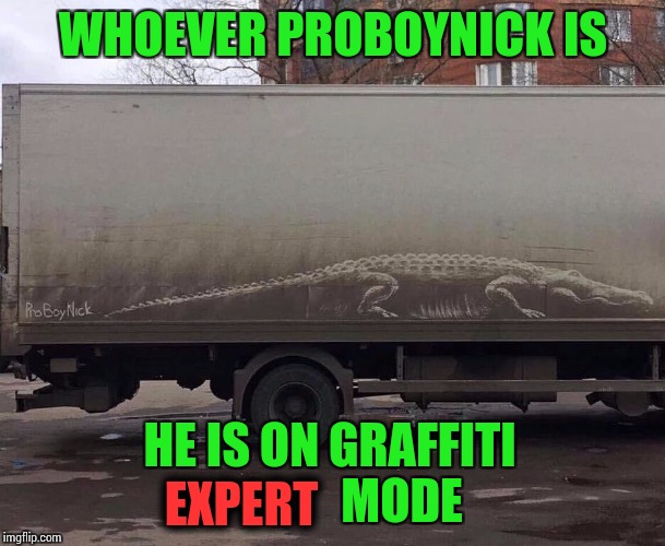 Proboynick is on another level | WHOEVER PROBOYNICK IS; HE IS ON GRAFFITI               MODE; EXPERT | image tagged in pipe_picasso,graffiti | made w/ Imgflip meme maker