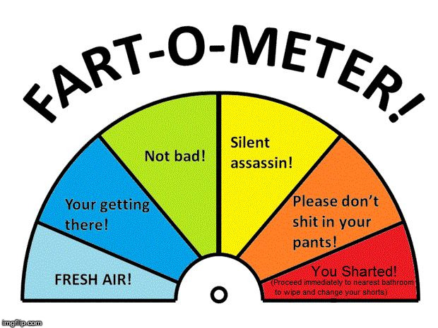 You Sharted! | image tagged in fart meter,farts,shit,memes,funny memes,silent | made w/ Imgflip meme maker