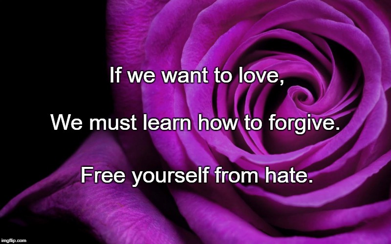 Forgiveness is the scent the flower makes when it is crushed | If we want to love, We must learn how to forgive. Free yourself from hate. | image tagged in forgiveness is the scent the flower makes when it is crushed | made w/ Imgflip meme maker