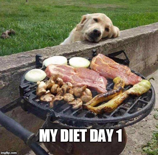 diets  | MY DIET DAY 1 | image tagged in diet,dogs,bbq,hungry | made w/ Imgflip meme maker