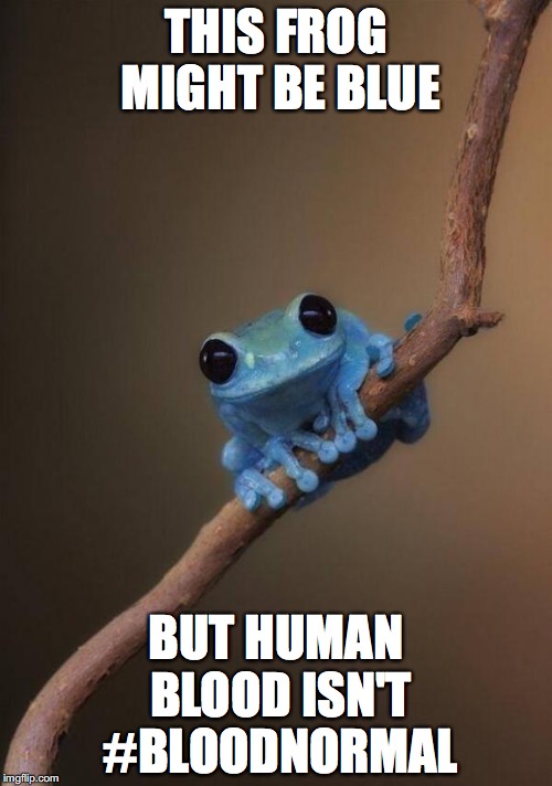 Blue Frog | THIS FROG MIGHT BE BLUE; BUT HUMAN BLOOD ISN'T #BLOODNORMAL | image tagged in blue frog | made w/ Imgflip meme maker