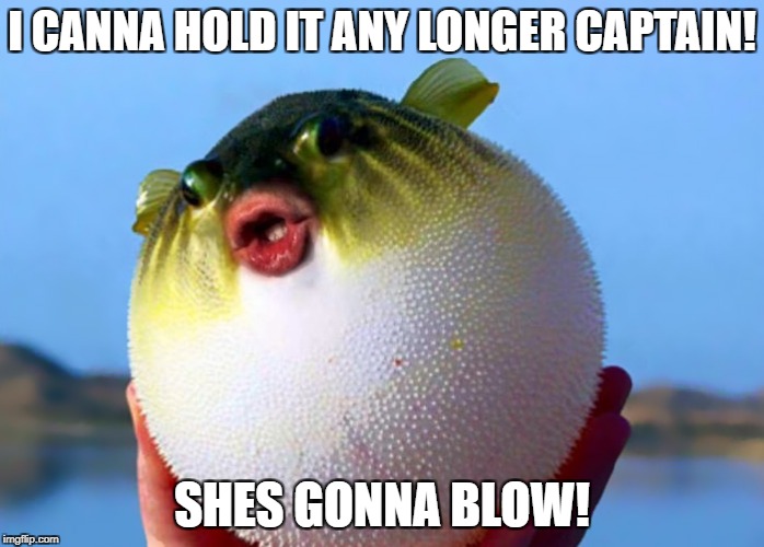 I CANNA HOLD IT ANY LONGER CAPTAIN! SHES GONNA BLOW! | image tagged in fart jokes | made w/ Imgflip meme maker