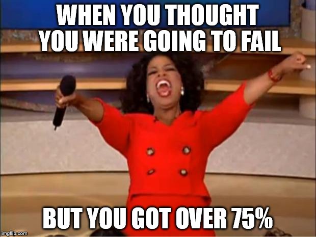 Oprah You Get A Meme | WHEN YOU THOUGHT YOU WERE GOING TO FAIL; BUT YOU GOT OVER 75% | image tagged in memes,oprah you get a | made w/ Imgflip meme maker