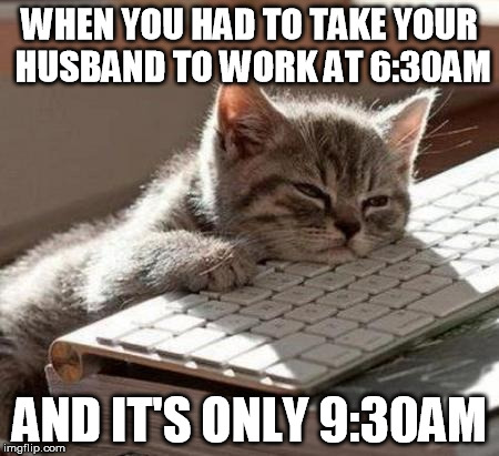 tired cat |  WHEN YOU HAD TO TAKE YOUR HUSBAND TO WORK AT 6:30AM; AND IT'S ONLY 9:30AM | image tagged in tired cat | made w/ Imgflip meme maker