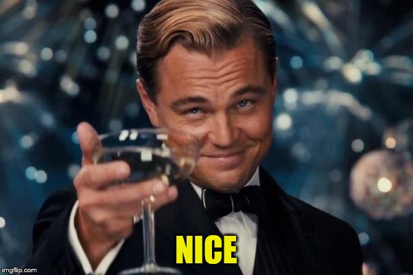 Leonardo Dicaprio Cheers Meme | NICE | image tagged in memes,leonardo dicaprio cheers | made w/ Imgflip meme maker